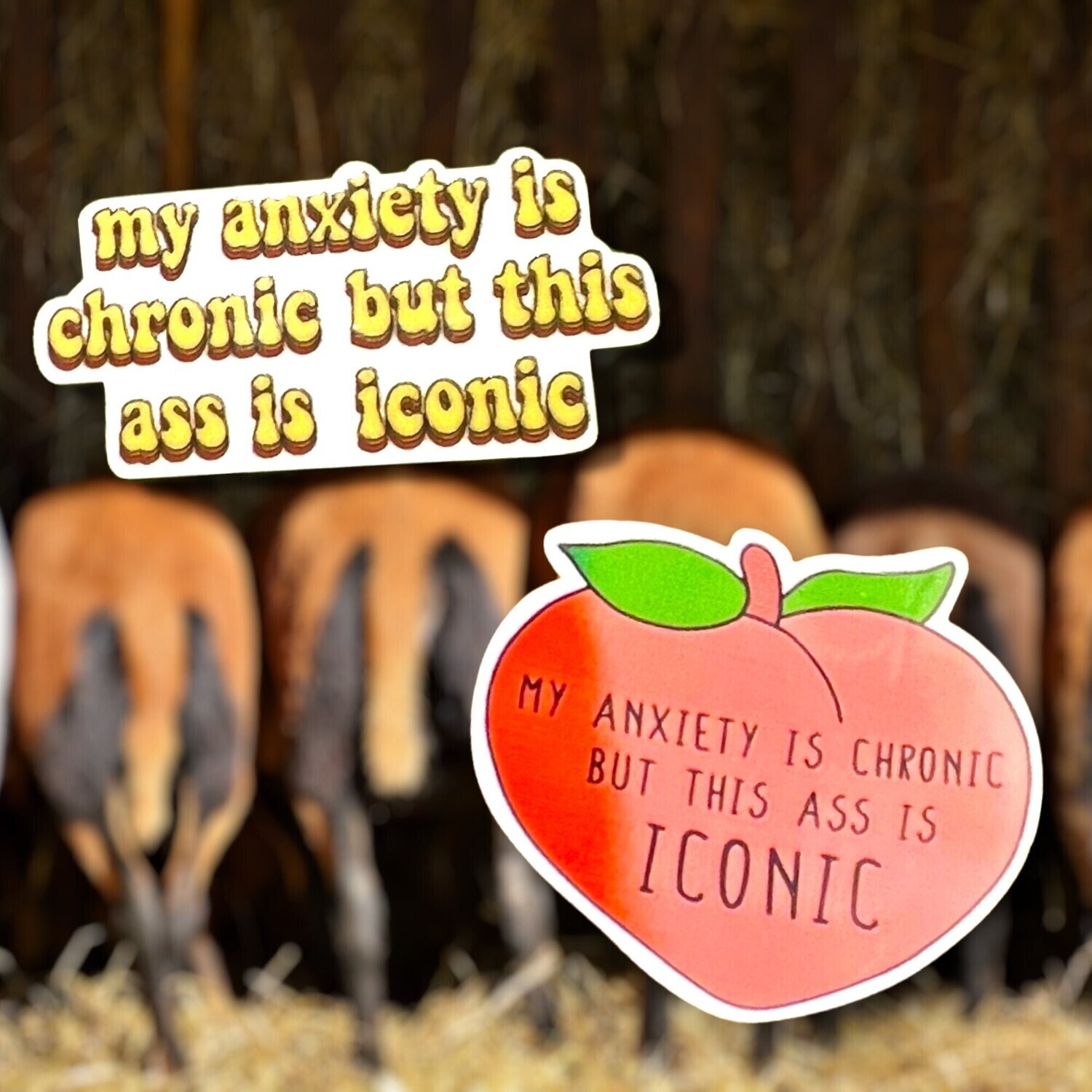 Anxiety Is Chronic - Ass Is Iconic - Acrylic - Needle Minder - Needle - Pin - Magnet