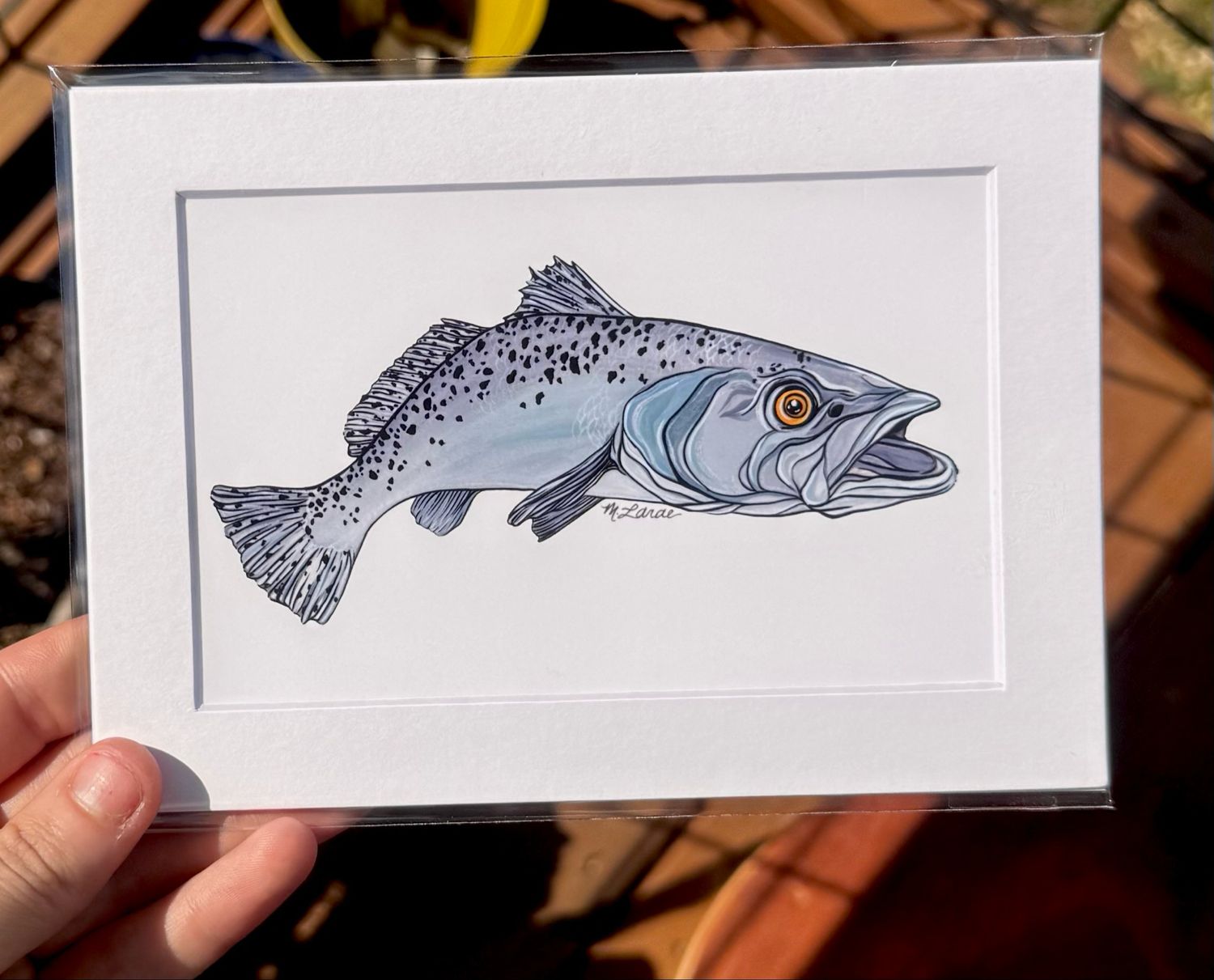 “Spotted Sea Trout” Print (5x7)