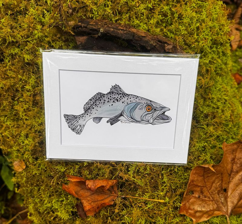 “Spotted Sea Trout” Print (5x7)