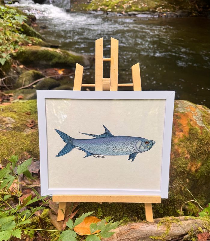 “Tarpon” Framed Original Painting
