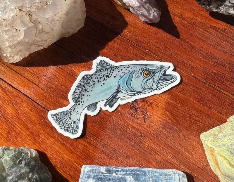 MINI “Speckled Trout” Sticker