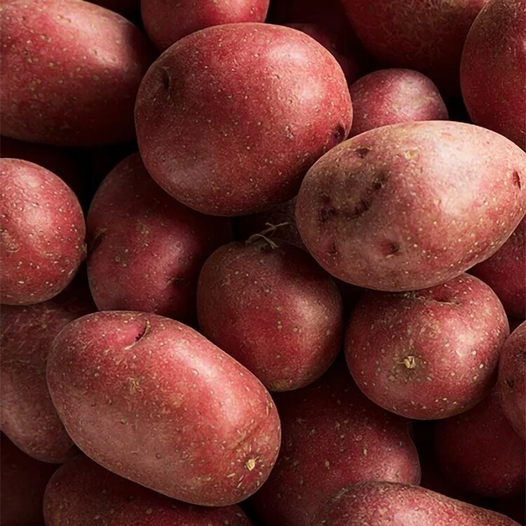 RED POTATOES (2)
