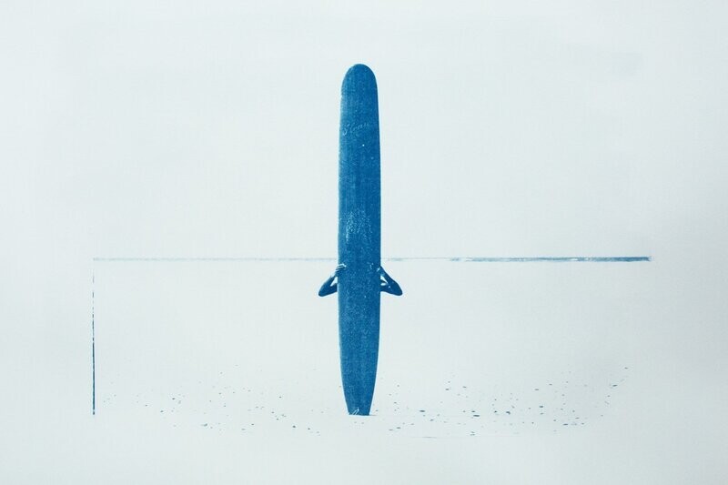 "Hawaiian" de Frank Grimm, Cyanotype, Cape Town.