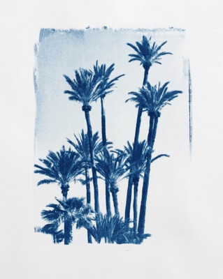 "Palm Down" de Frank Grimm, Cyanotype.