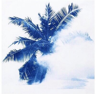 "Palm" de Frank Grimm, Cyanotype, Maldives.