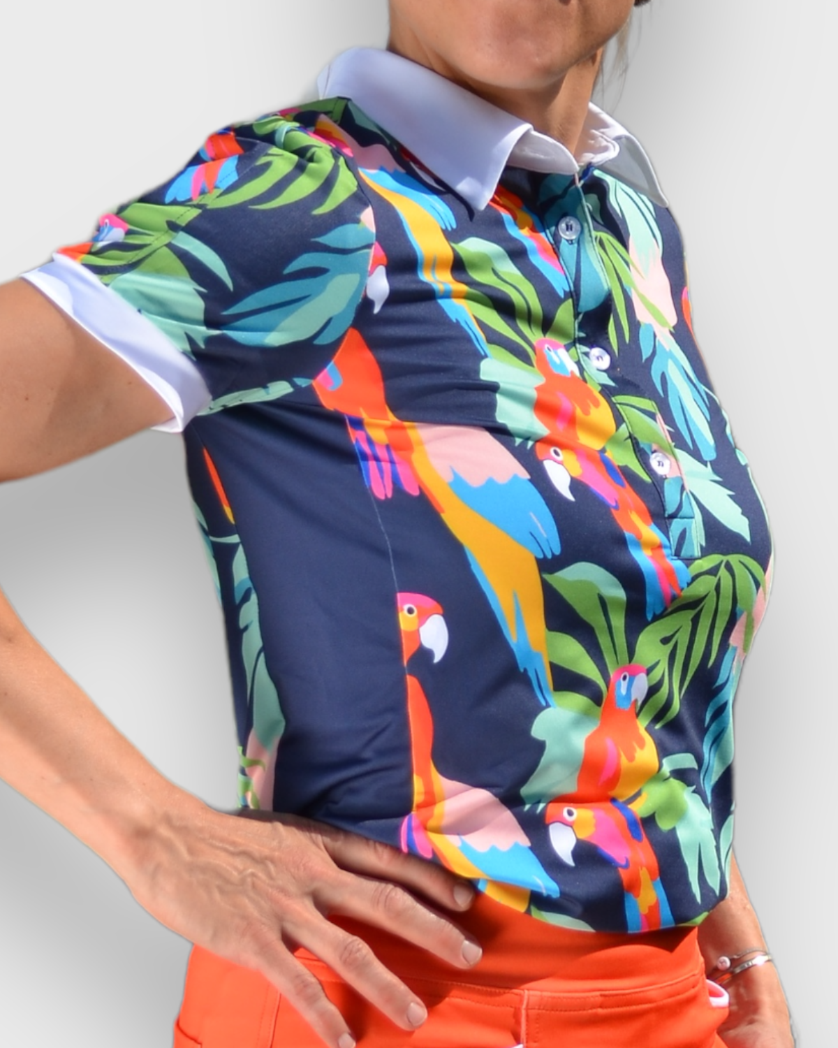 Macaw Polo