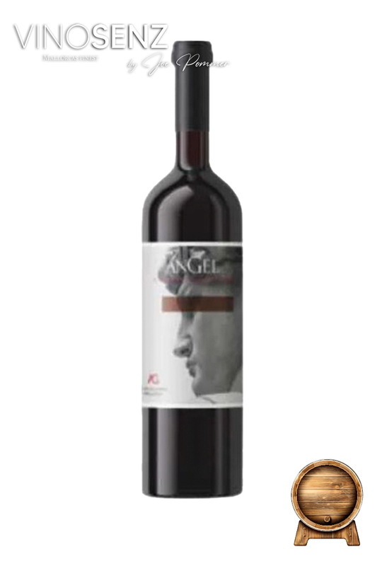 ANGEL CABERNET SAUVIGNON 2019