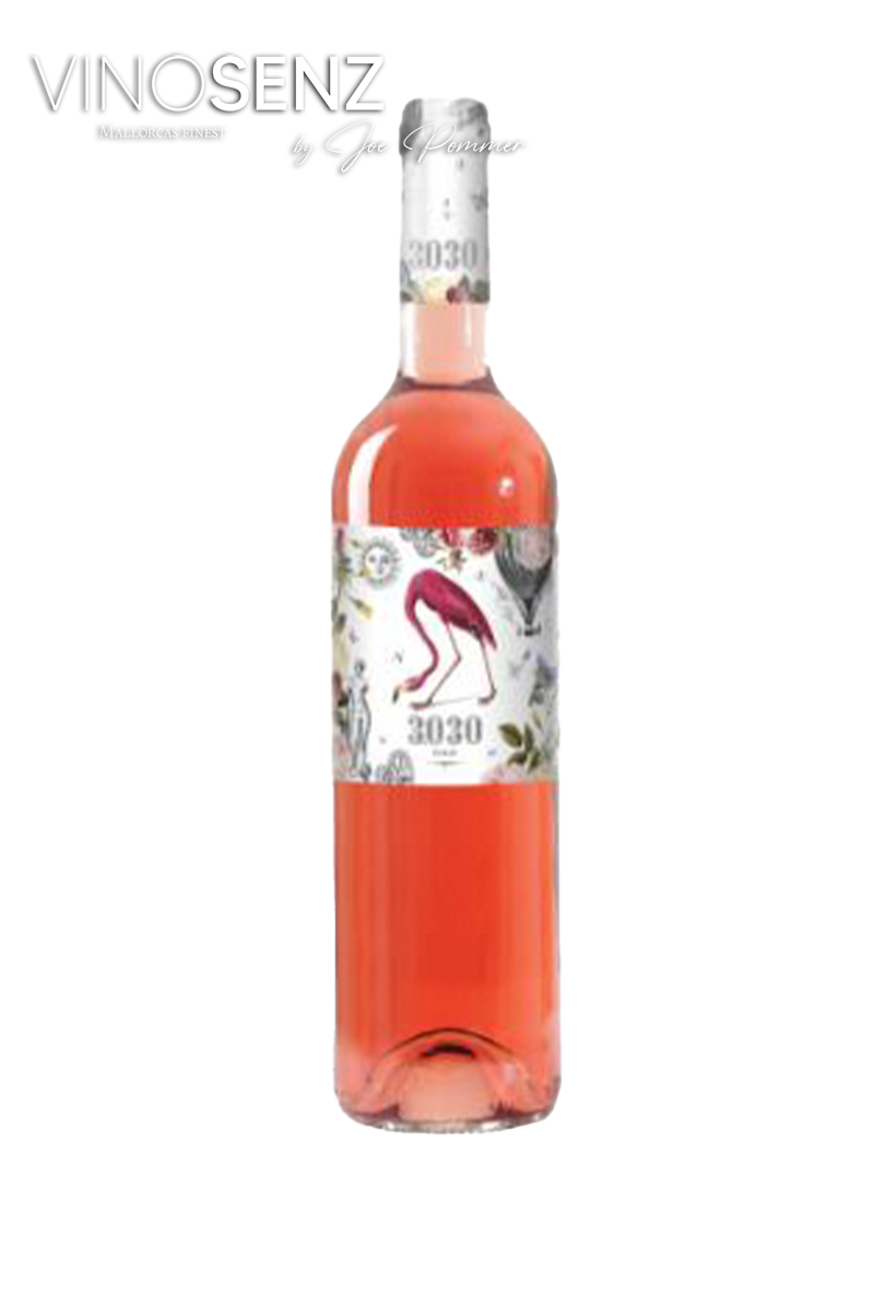 ANGEL 3030 ROSAT