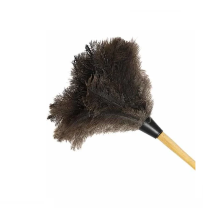Feather Duster Short