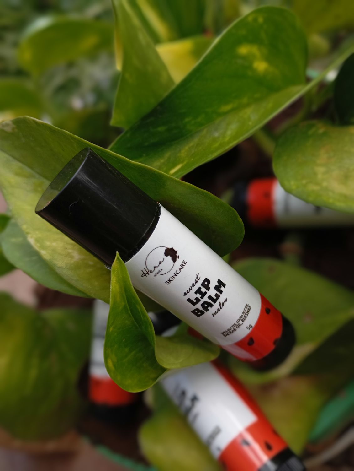 Sweet Melon Lip Balm