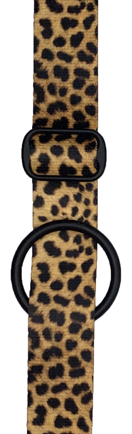 🐆Leopard🐆