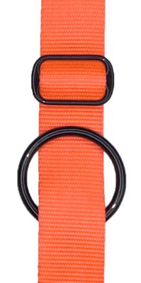 Neon Orange
