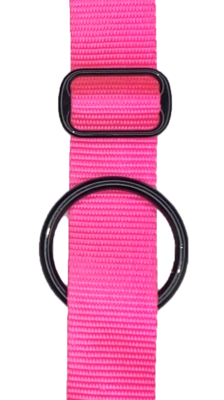 Neon Pink