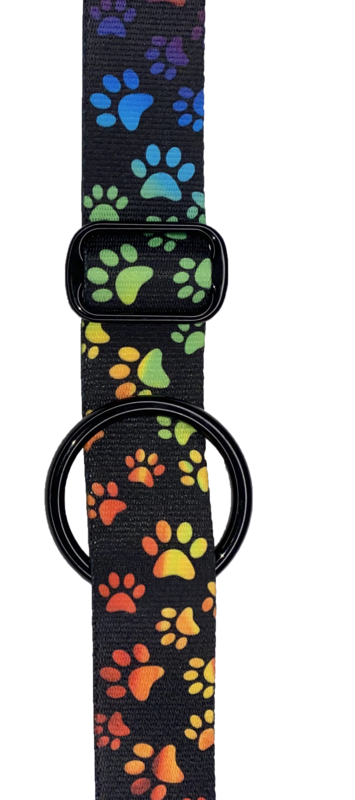 🌈Rainbow Paws🐾