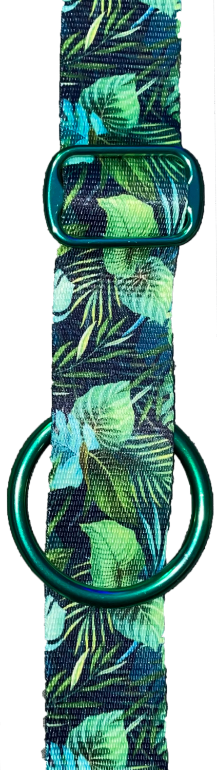 🌴Tropical Canopy🌴