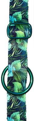 🌴Tropical Canopy🌴