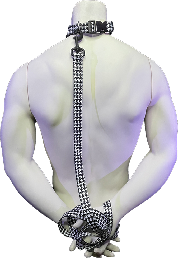 Custom Collar and Leash Combo