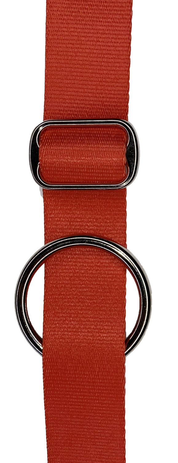Red &amp; Silver