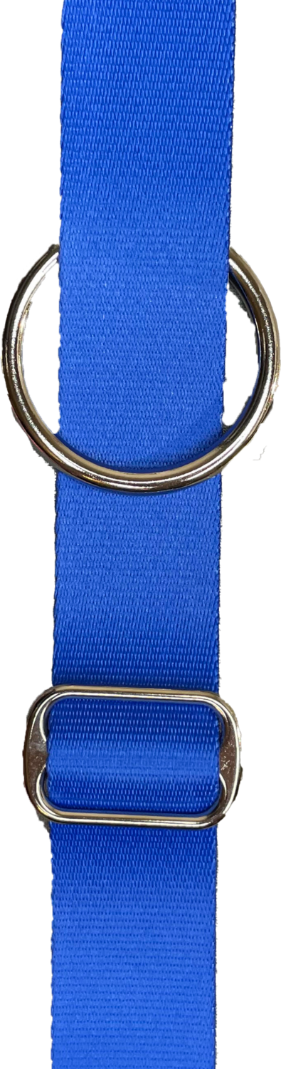 Royal Blue &amp; Silver