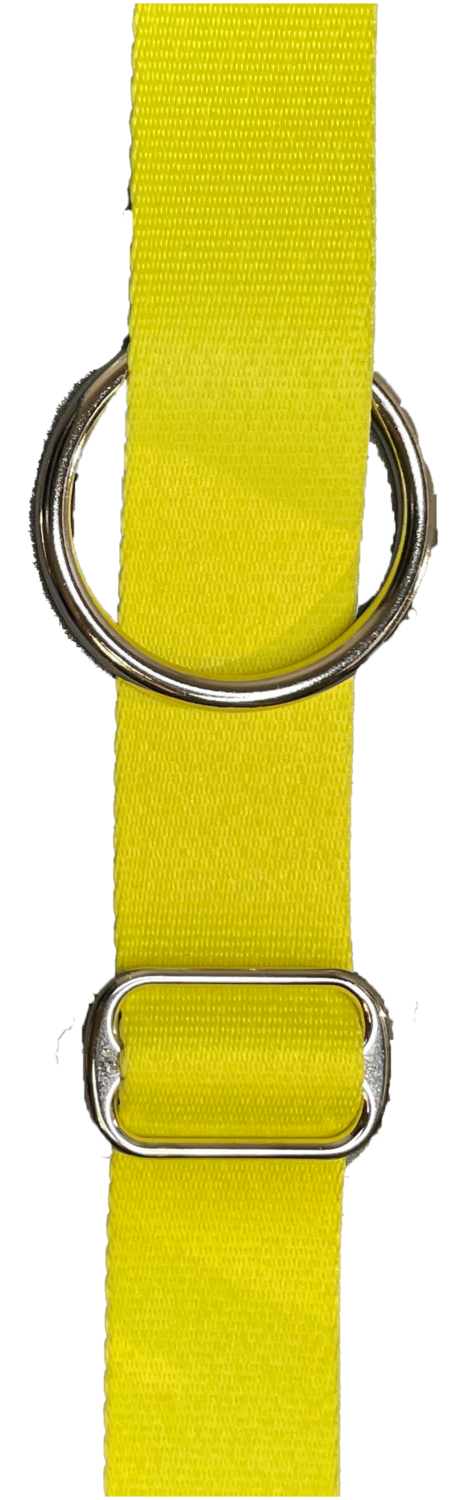 Yellow &amp; Silver