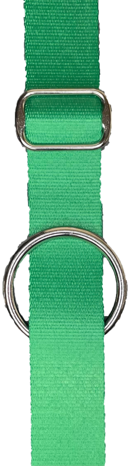 Green &amp; Silver