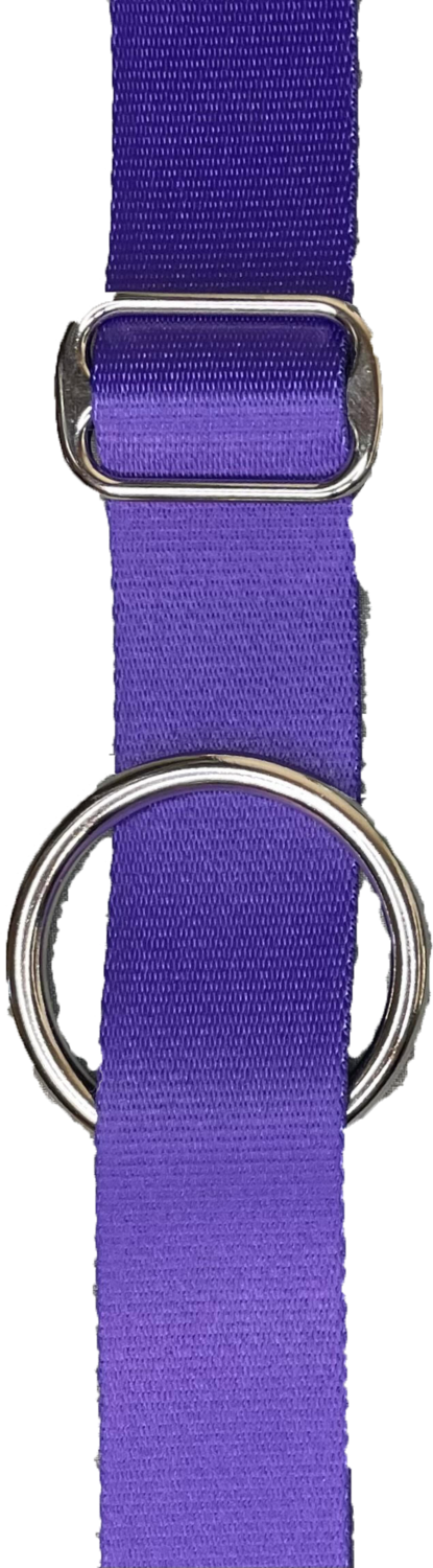 Purple &amp; Silver