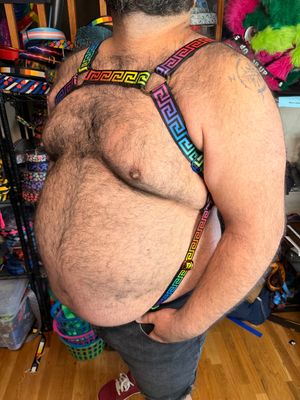 Harnesses