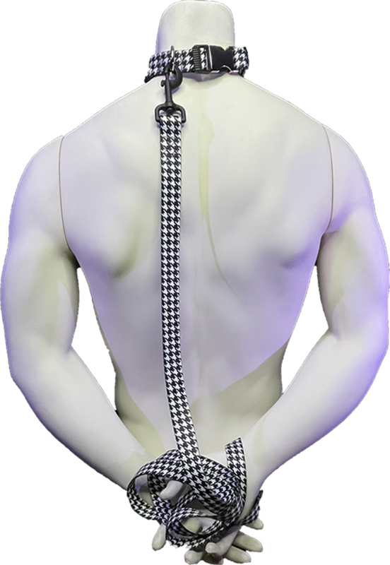 Custom Collar and Leash Combo
