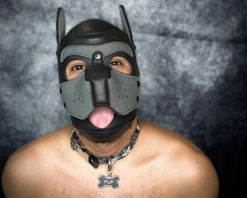 CUSTOM COLLAR