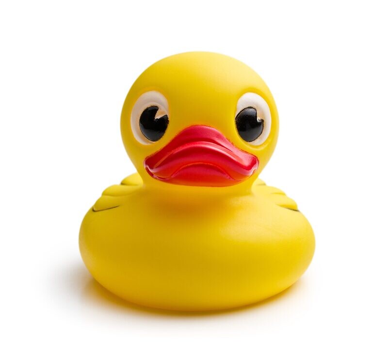 The Yellow Duck
