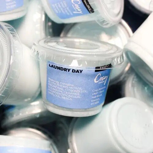 Laundry Day Wax Melt 25g Tub