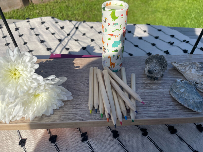 Children’s Animal Colouring Pencils, Come In a handy little tub to keep them in