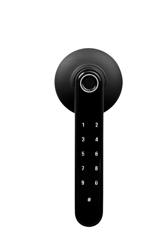 T190 lever lock (Black )