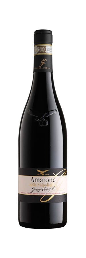 Campagnola --Amarone della Valpolicella dod 2019