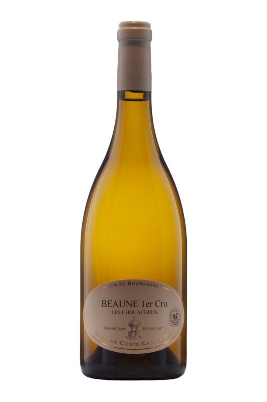 Domaine Coste Caumartin  Beaune 1er  Cru Blanc Les Chouacheux 2021
