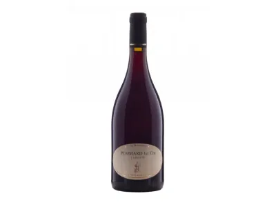 Domaine Coste Caumartin Pommard 1er Cru La Refene 2020