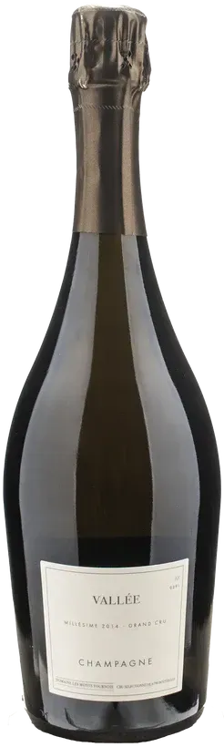 Champagne Domaine Les Monts Fournois  Vallee Grand Cru 2014 Extra Brut