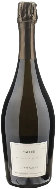 Champagne Domaine Les Monts Fournois  Vallee Grand Cru 2014 Extra Brut