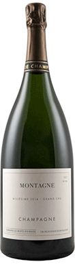 Champagne Domaine Les Monts Fournois  Bouzy Grand Cru 2013 Extra Brut Montagne