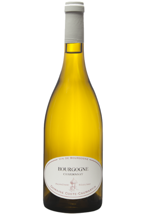 Domaine Coste Caumartin  Bourgogne Cote D'Or Blanc 2022