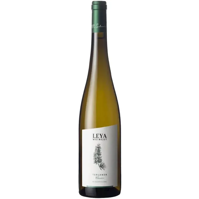 Leya Weingut  Terlaner Classico 2024