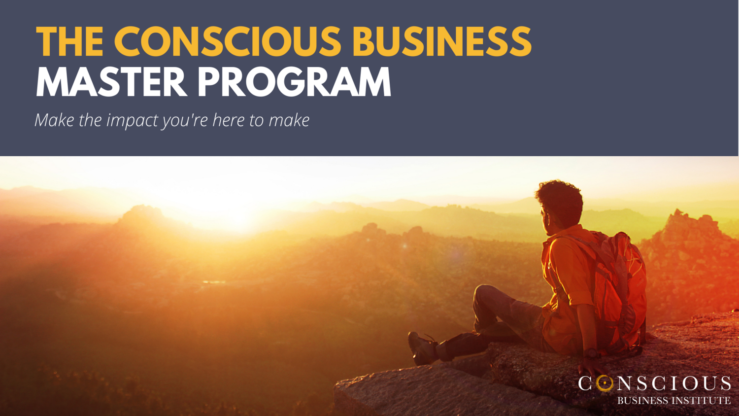 Conscious Business Master Program - 12 Month Installment Plan