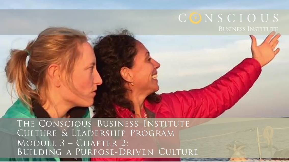 Conscious Business - Module 3: Building A Purpose-Driven Culture (Chapter 2)