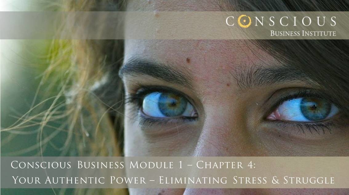 Conscious Business Module 1-Ch 4: Eliminating Stress & Struggle