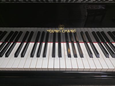 Young Chang Grand Model Y-185 Special Edition. Made in S. Korea
