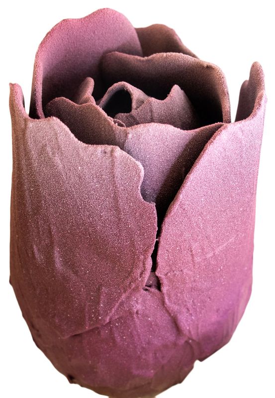 Potato Chip Filled Flowers