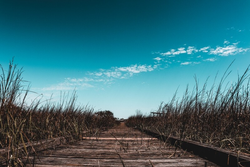 The Boardwalk at San Jacinto (12x8&quot; print, unframed)