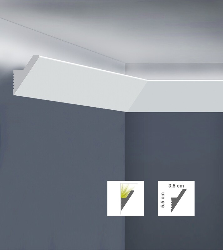 PORTA LED L5535
