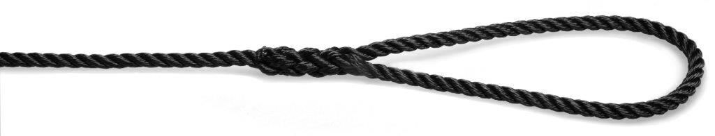 Landvast budget 10 meter met 40 cm oog 12 mm zwart