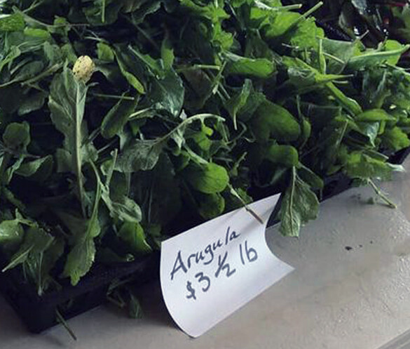 Market Greens - Arugula